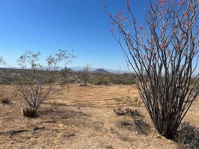 1 Acre of Residential Land for Sale in Yucca, Arizona