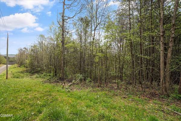 0.68 Acres of Residential Land for Sale in Newport, Tennessee