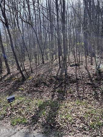 0.17 Acres of Residential Land for Sale in Crossville, Tennessee
