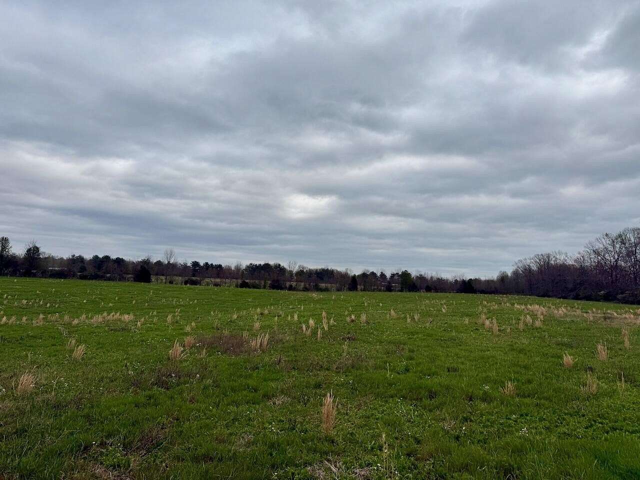 57 Acres of Agricultural Land for Sale in Columbia, Kentucky