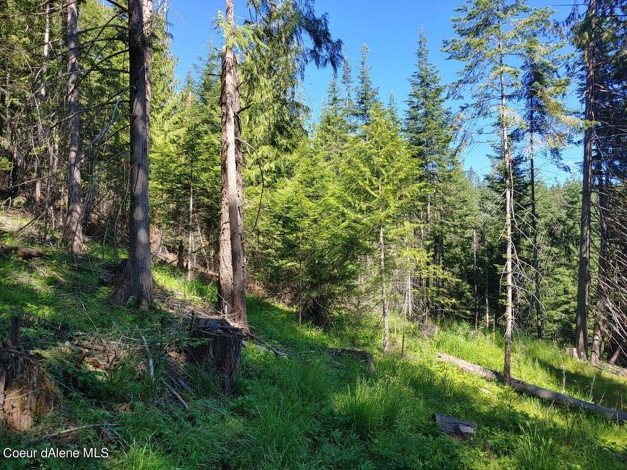 5 Acres of Land for Sale in St. Maries, Idaho