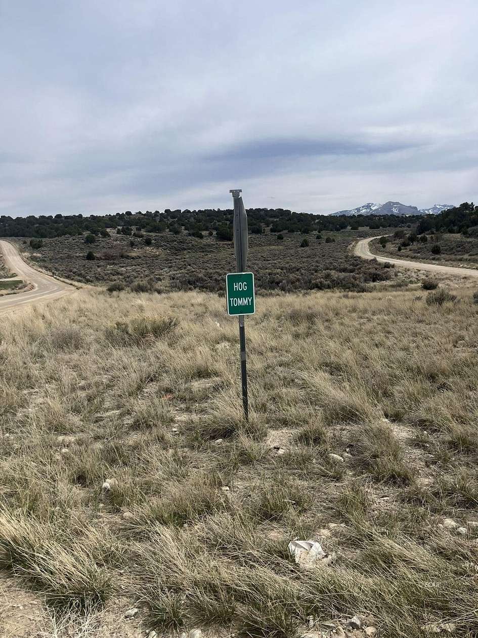 57.3 Acres of Land for Sale in Spring Creek, Nevada