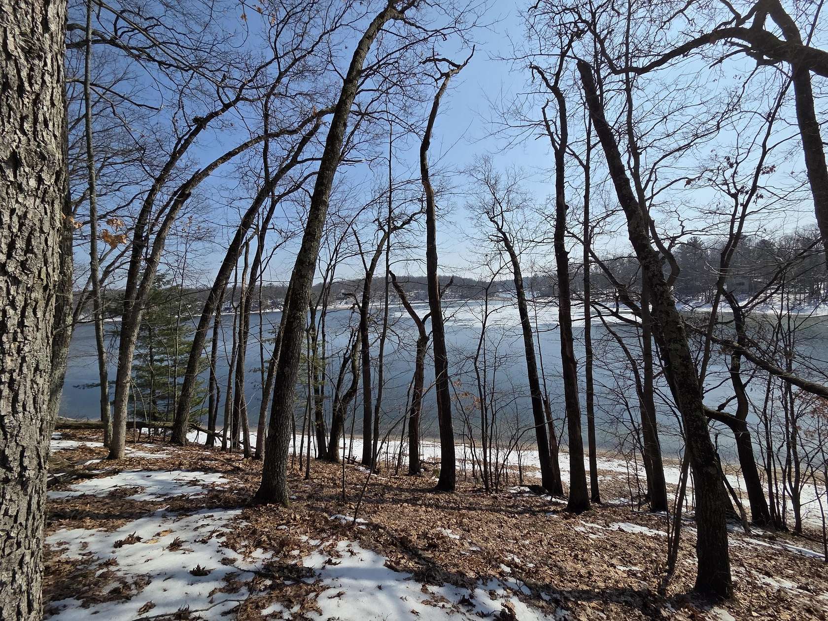 0.83 Acres of Land for Sale in Baldwin, Michigan