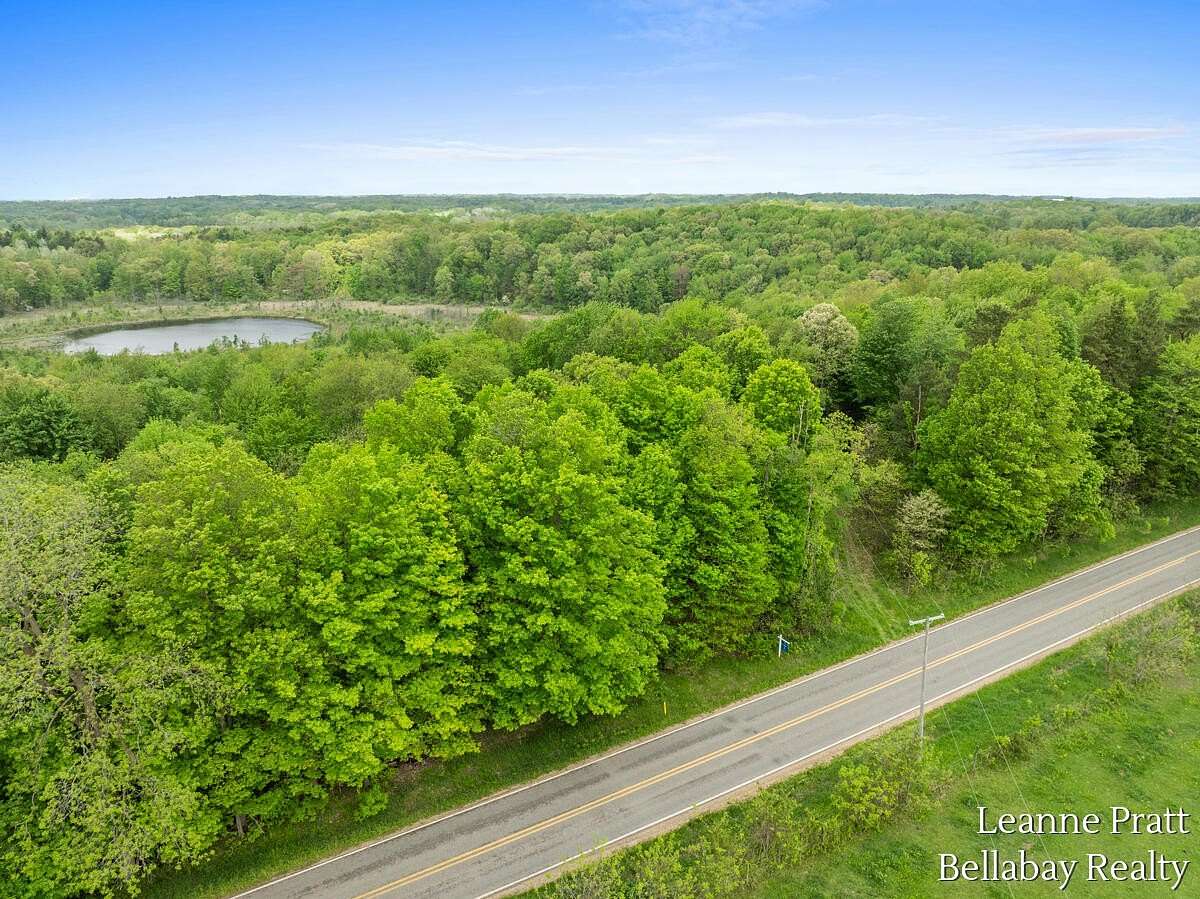 70 Acres of Land for Sale in Dowling, Michigan