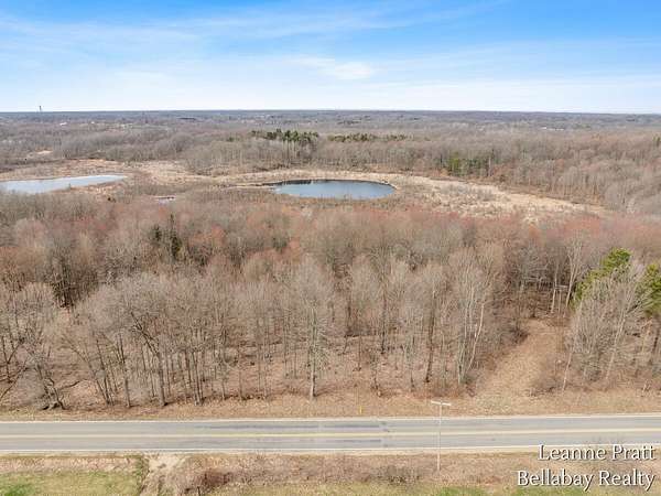 70 Acres of Land for Sale in Dowling, Michigan