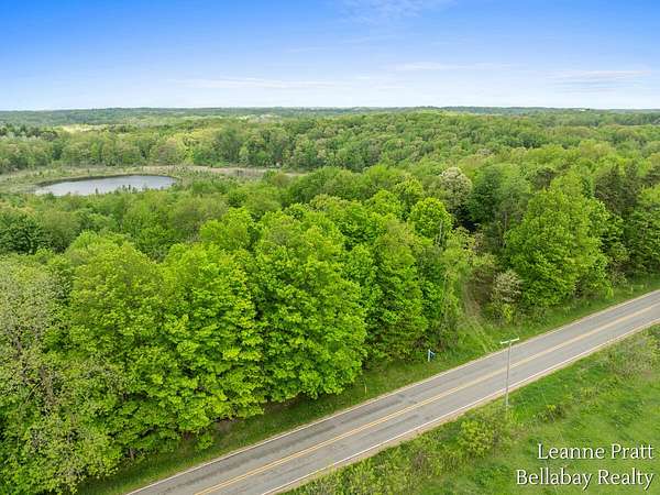 70 Acres of Land for Sale in Dowling, Michigan