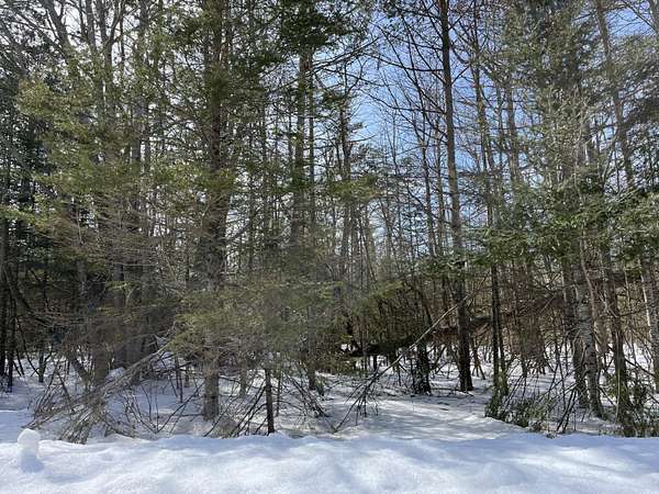 0.45 Acres of Residential Land for Sale in Presque Isle, Michigan