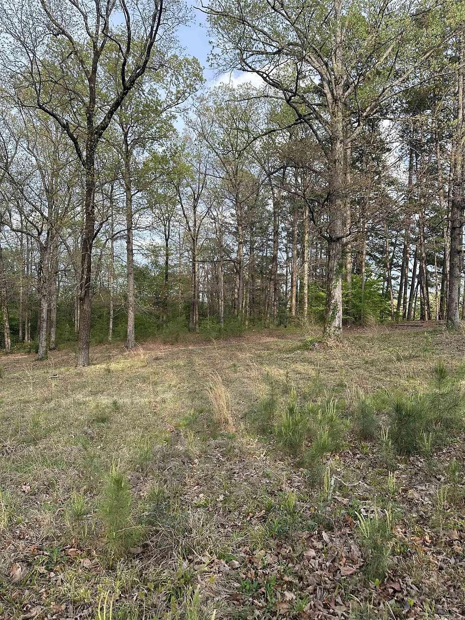 3.4 Acres of Residential Land for Sale in Traskwood, Arkansas