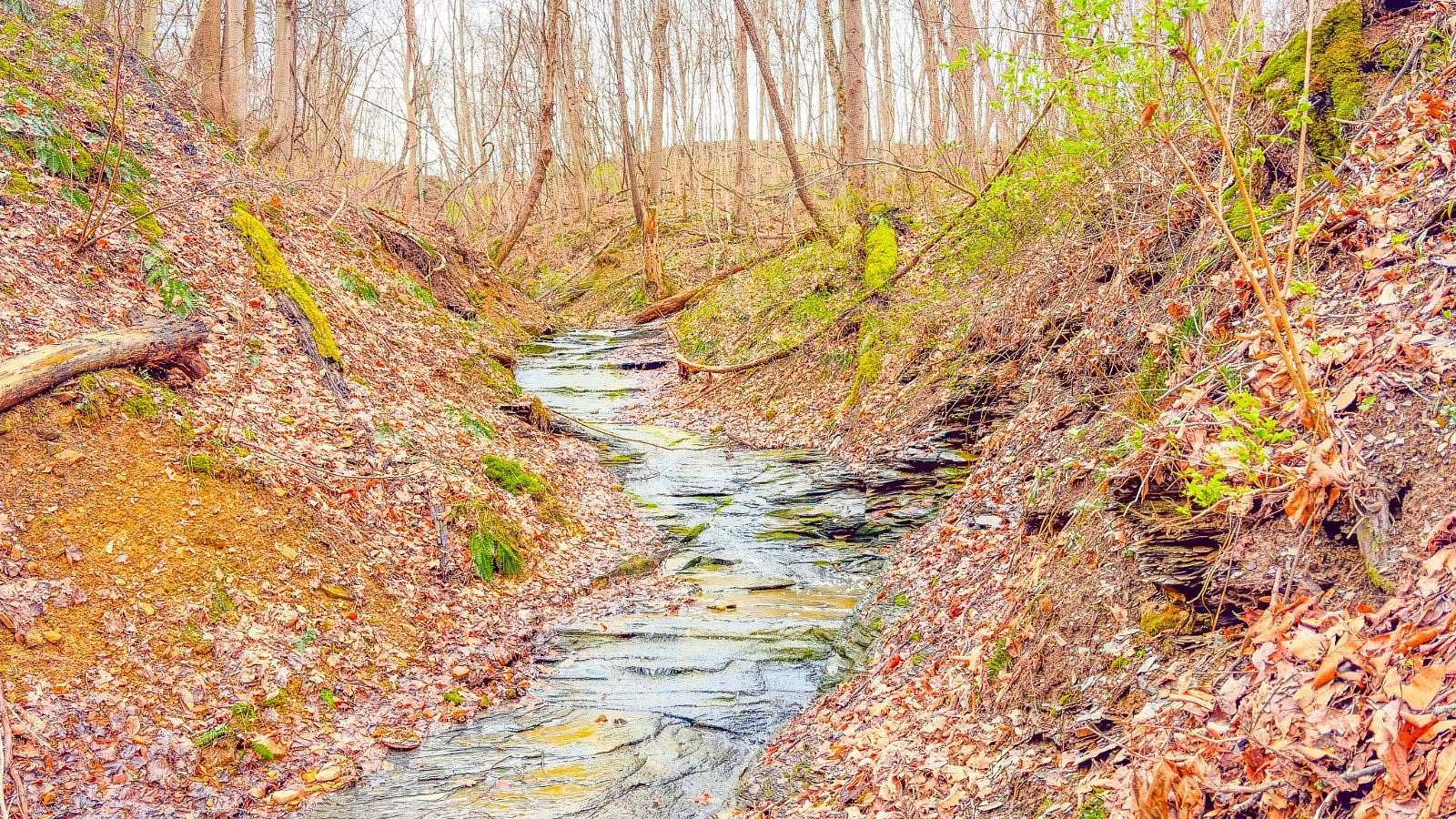 35.7 Acres of Recreational & Residential Land for Sale in South Salem, Ohio