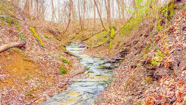 35.7 Acres of Recreational & Residential Land for Sale in South Salem, Ohio