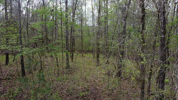 10 Acres of Recreational & Residential Land for Sale in Bremen, Alabama