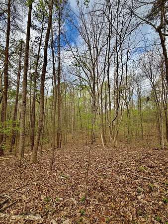 10 Acres of Recreational & Residential Land for Sale in Bremen, Alabama