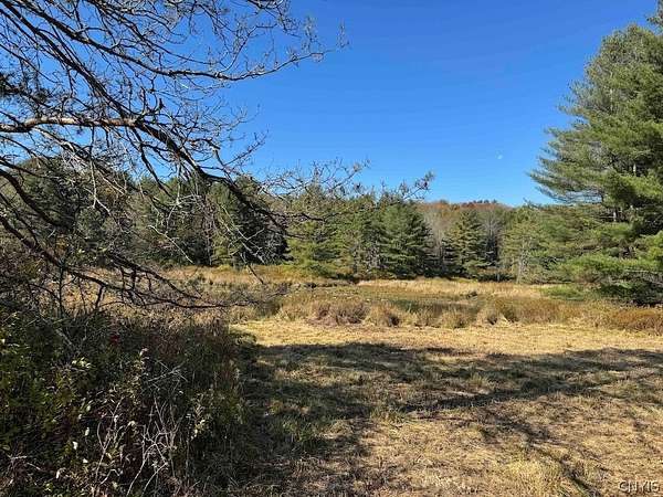 162 Acres of Recreational & Residential Land for Sale in Harpursville, New York