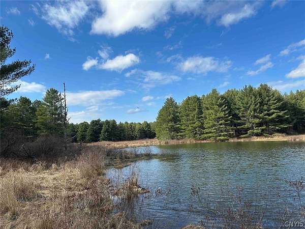 162 Acres of Recreational & Residential Land for Sale in Harpursville, New York