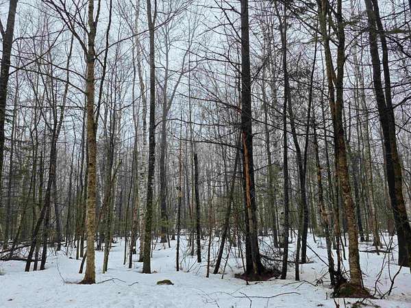 29.6 Acres of Recreational Land for Sale in Wheelock, Vermont