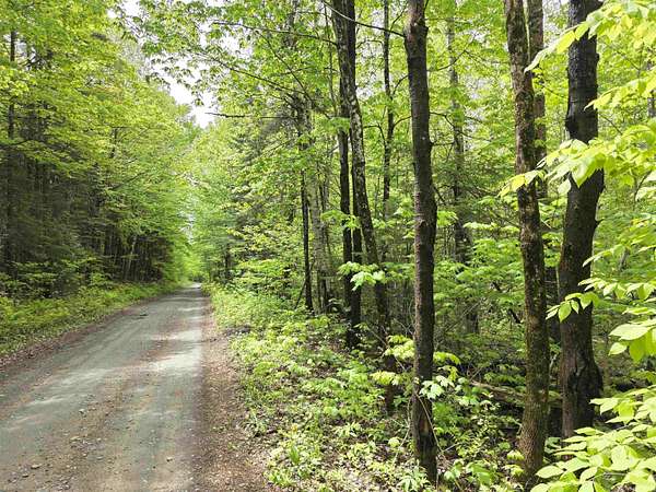 29.6 Acres of Recreational Land for Sale in Wheelock, Vermont