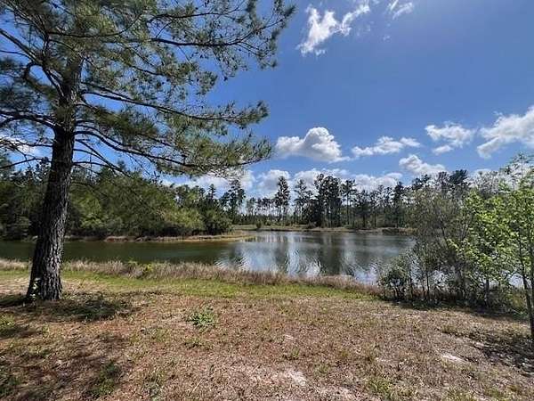 0.61 Acres of Residential Land for Sale in Brunswick, Georgia