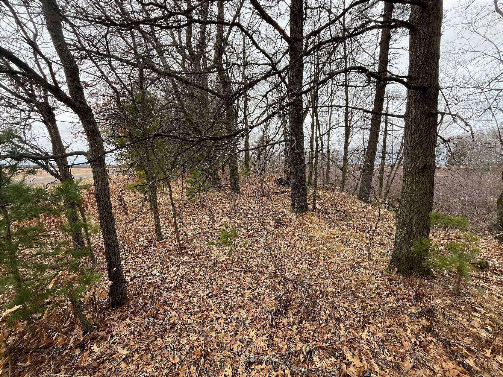 9.54 Acres of Land for Sale in New Auburn, Wisconsin