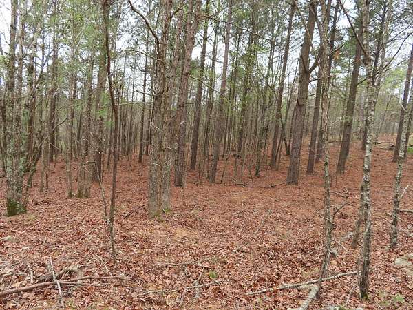 10 Acres of Recreational Land for Sale in Smithville, Oklahoma