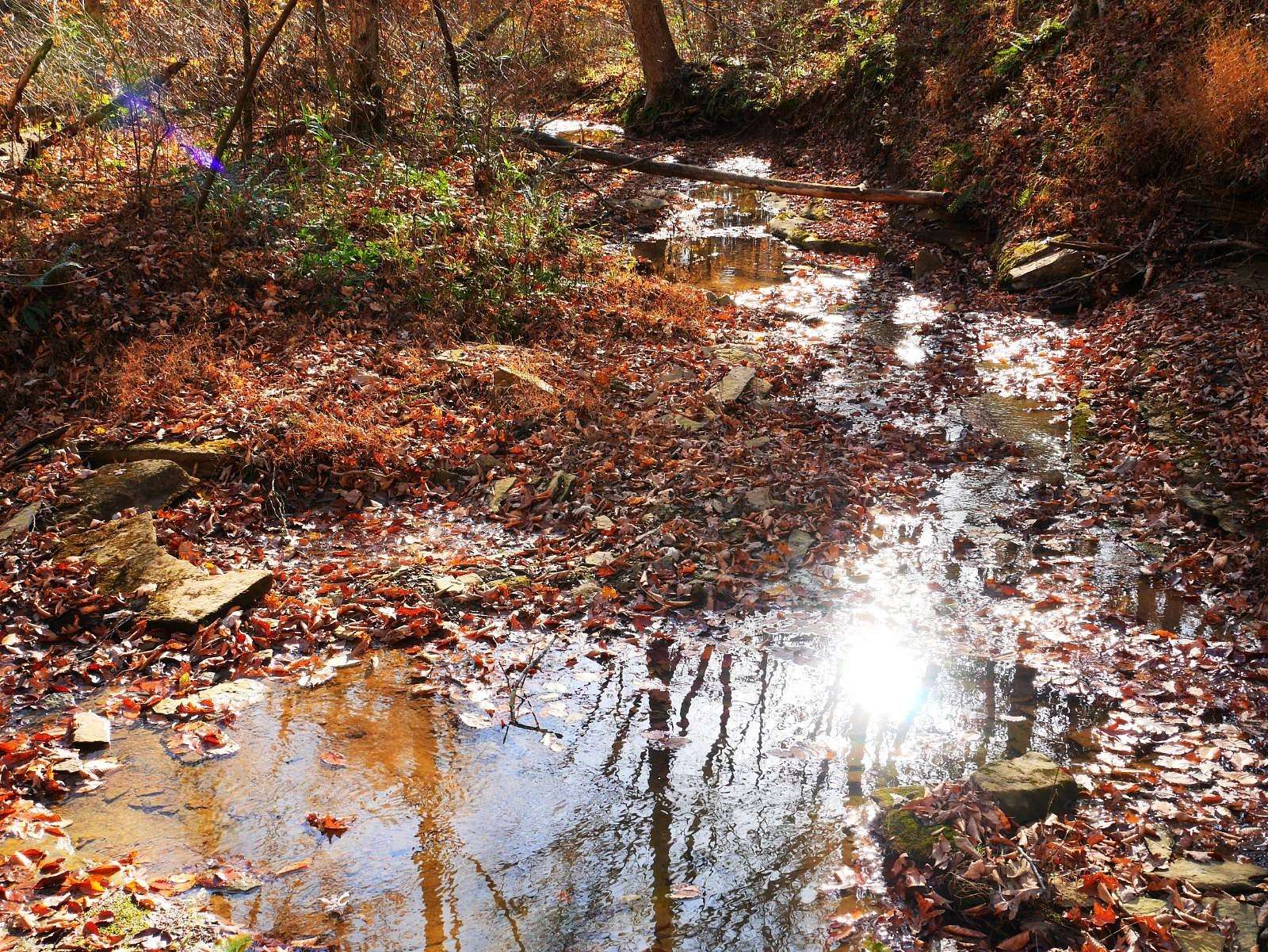 4.1 Acres of Residential Land for Sale in Edmonton, Kentucky