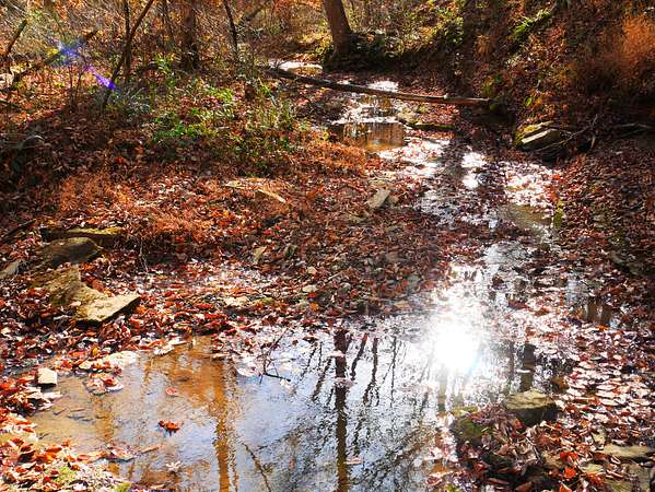 4.1 Acres of Land for Sale in Edmonton, Kentucky