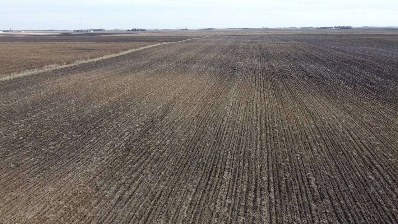 40.4 Acres of Agricultural Land for Sale in Burt, Iowa