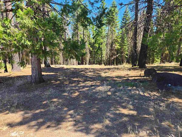 0.8 Acres of Land for Sale in Lake Almanor West, California
