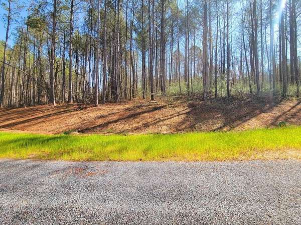 1.56 Acres of Residential Land for Sale in Ellijay, Georgia