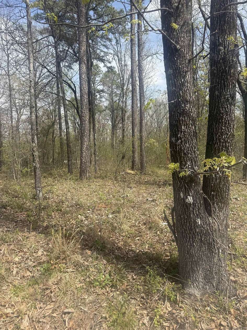 2 Acres of Residential Land for Sale in Paragould, Arkansas
