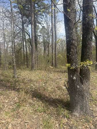 2 Acres of Residential Land for Sale in Paragould, Arkansas