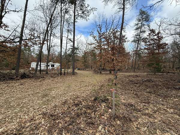 0.41 Acres of Residential Land for Sale in Baldwin, Michigan