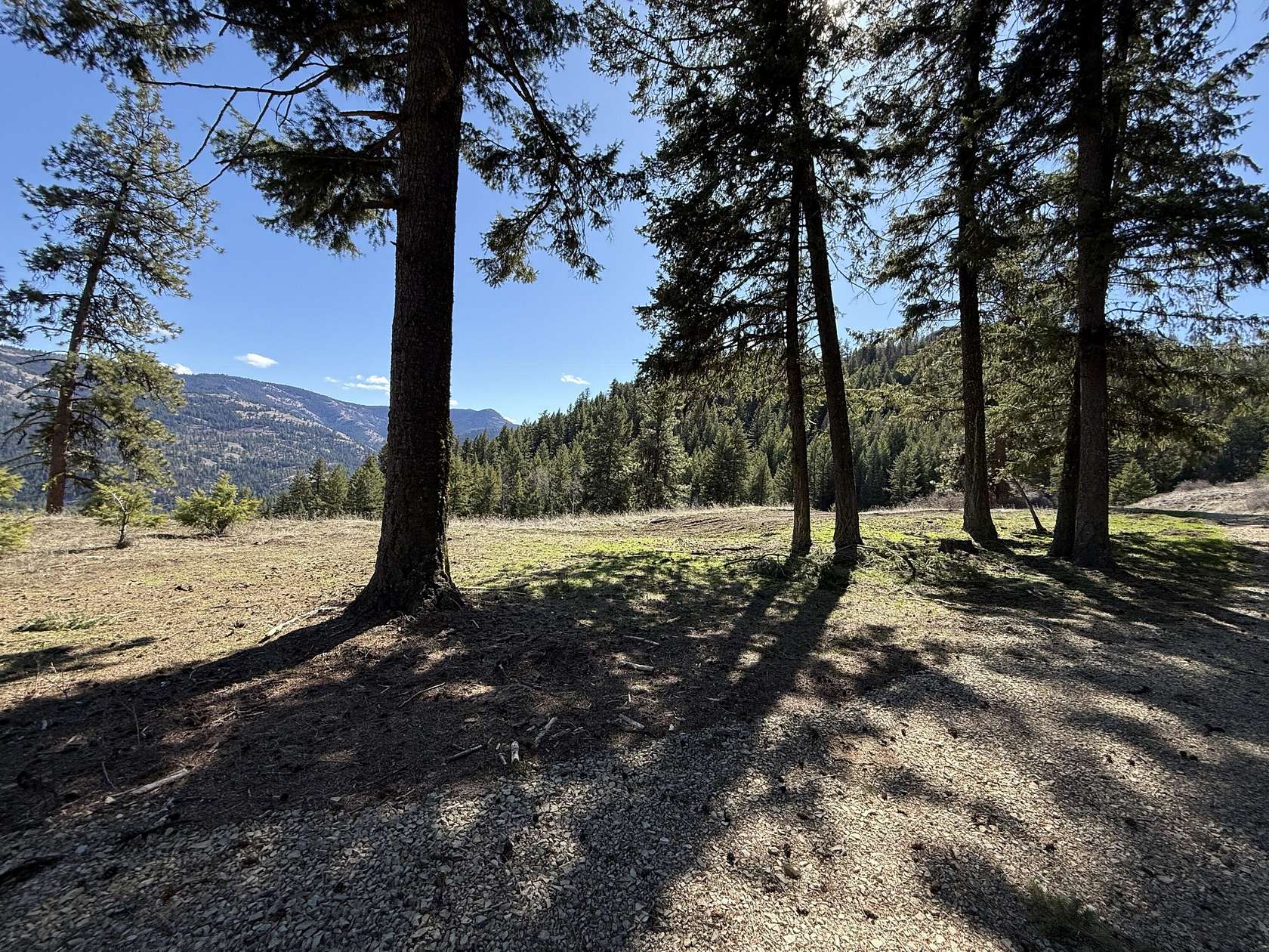40 Acres of Recreational Land for Sale in Wauconda, Washington