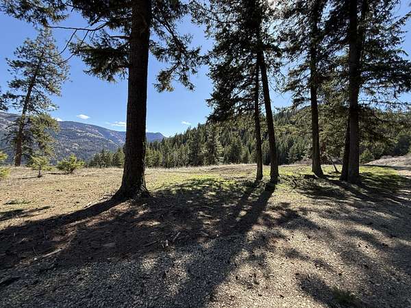 40 Acres of Recreational Land for Sale in Wauconda, Washington