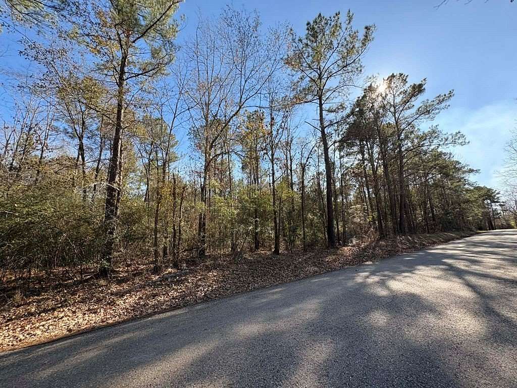 80 Acres of Recreational & Residential Land for Sale in Broaddus, Texas