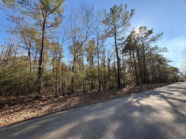 80 Acres of Recreational & Residential Land for Sale in Broaddus, Texas