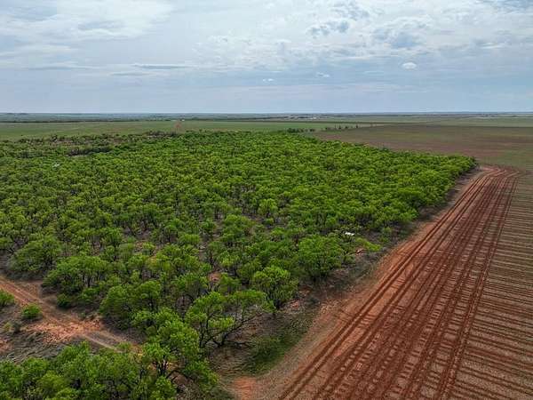 171 Acres of Land for Sale in Old Glory, Texas