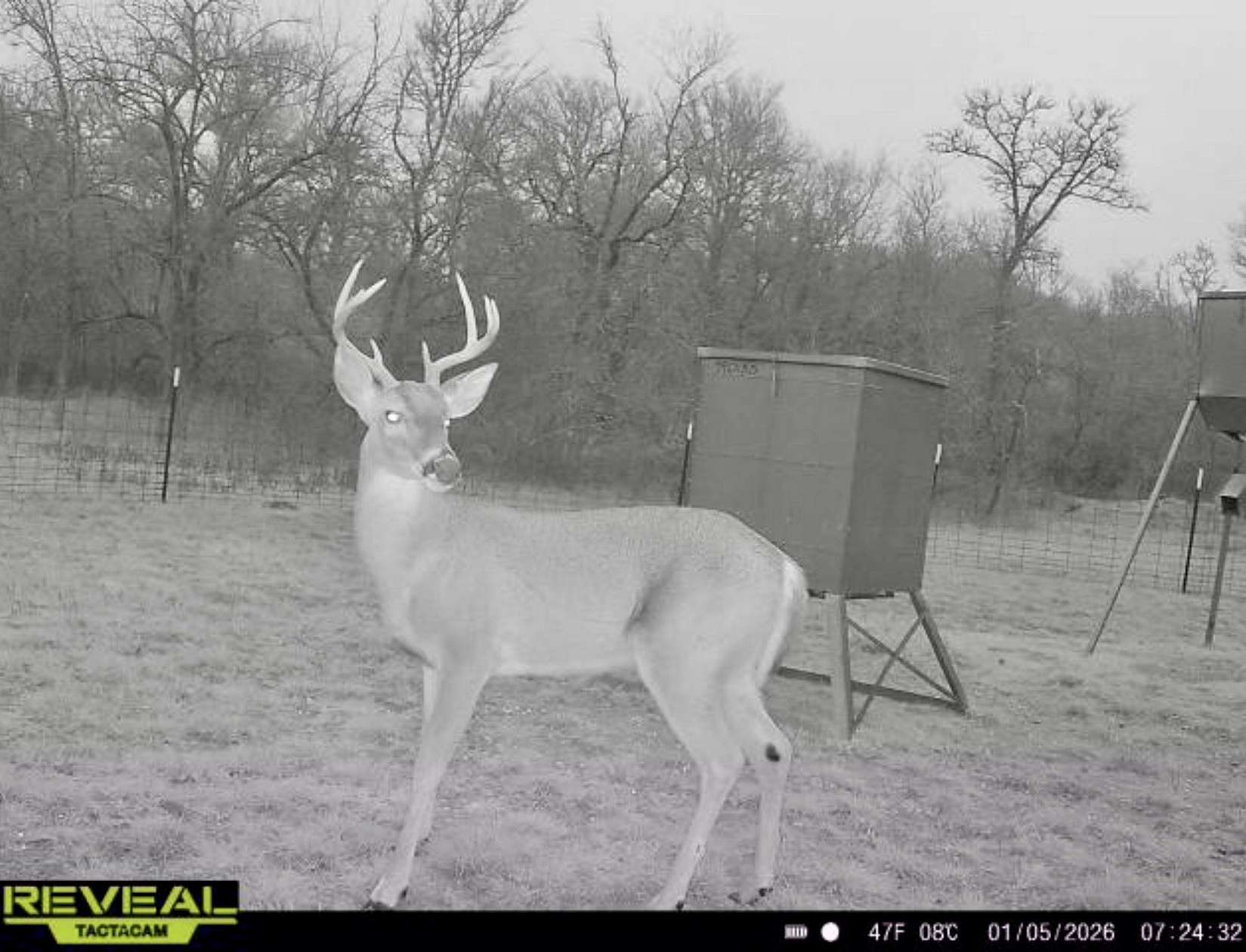 214 Acres of Land for Sale in Mexia, Texas