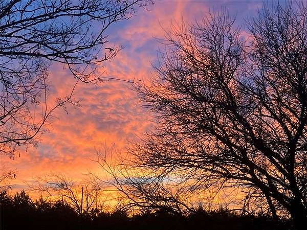 2 Acres of Residential Land for Sale in Sherman, Texas