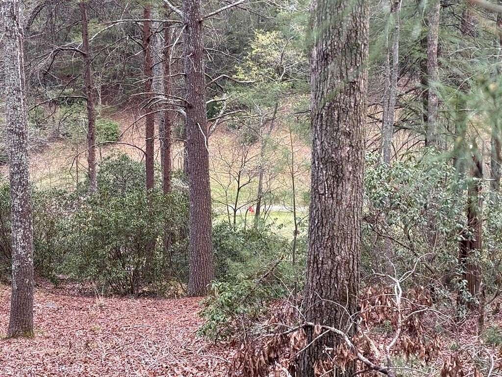 0.71 Acres of Residential Land for Sale in Ellijay, Georgia