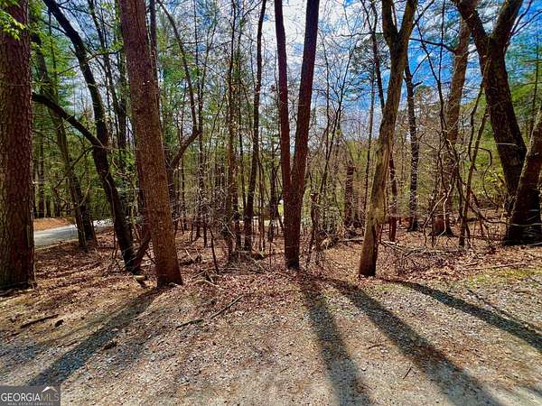 0.42 Acres of Residential Land for Sale in Ellijay, Georgia