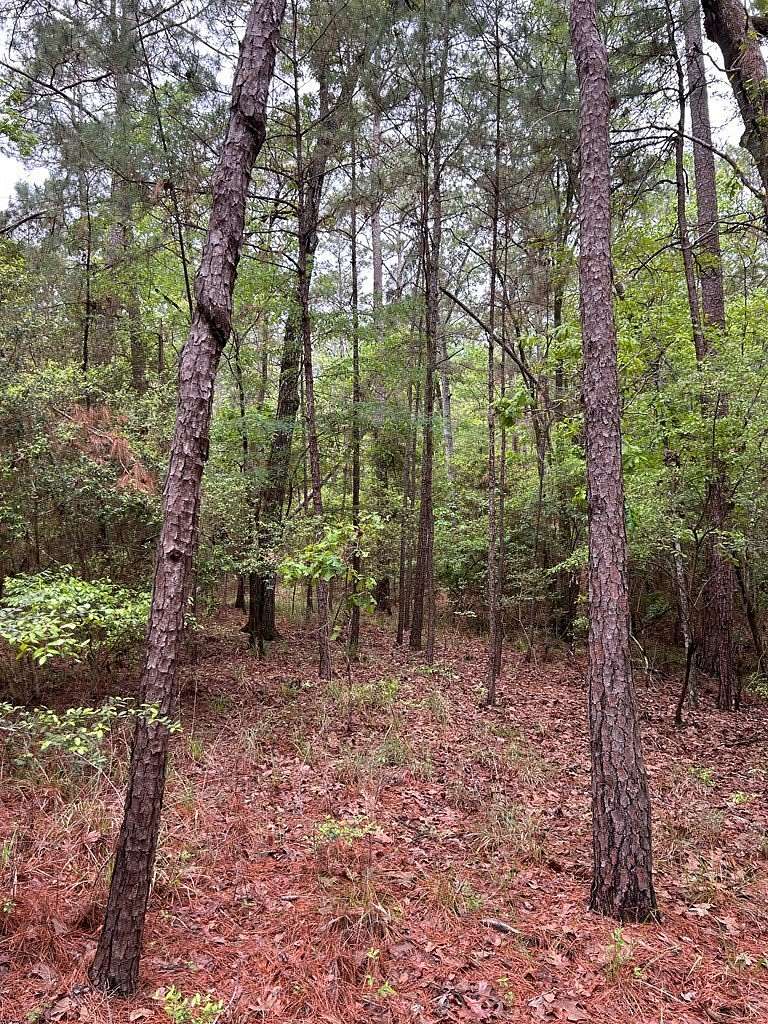 0.25 Acres of Land for Sale in Brookeland, Texas