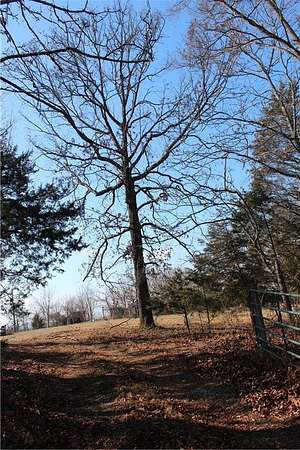 80 Acres of Recreational & Residential Land for Sale in Marshall, Arkansas