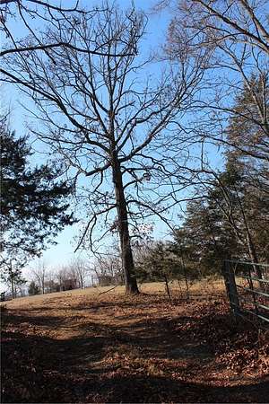 80 Acres of Recreational & Residential Land for Sale in Marshall, Arkansas