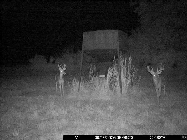 44.8 Acres of Land for Sale in Kincaid, Kansas