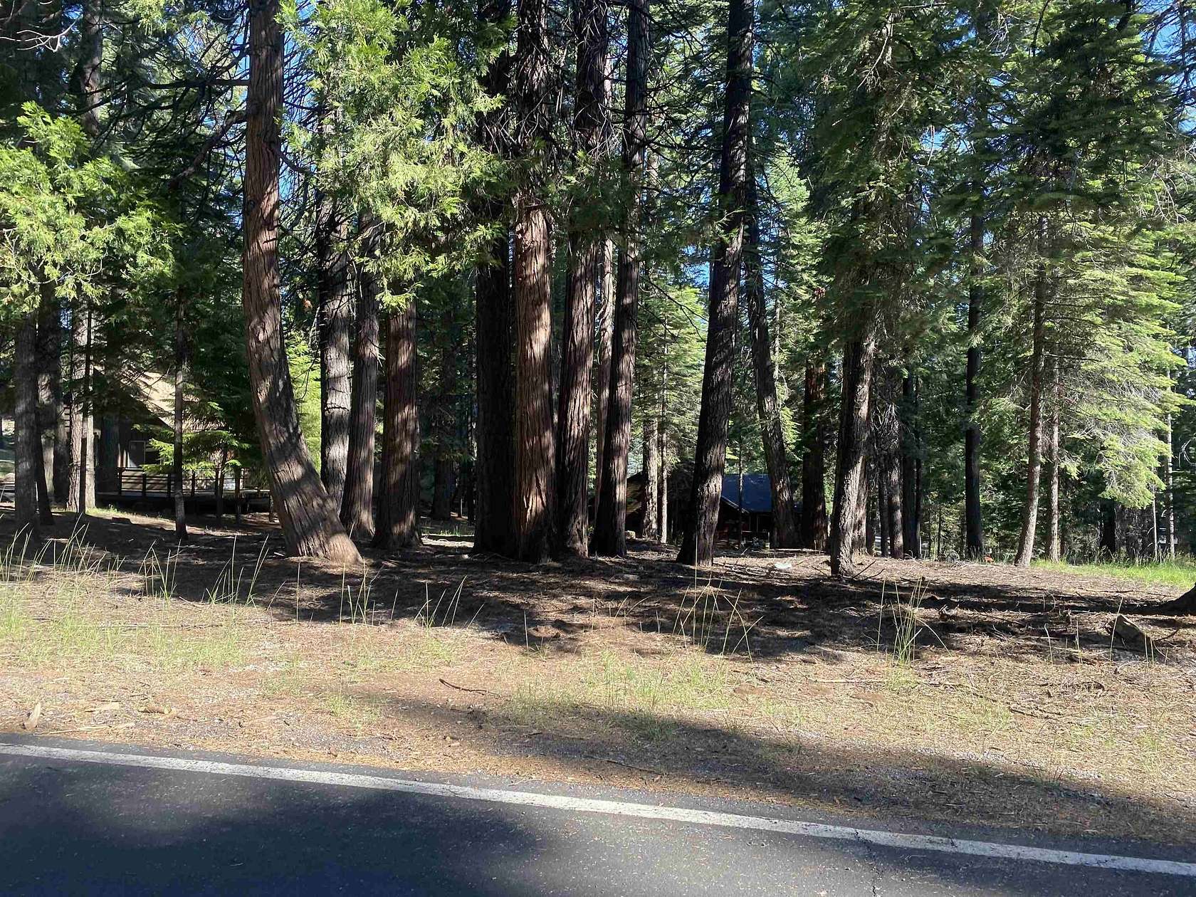 1.14 Acres of Land for Sale in Chester, California