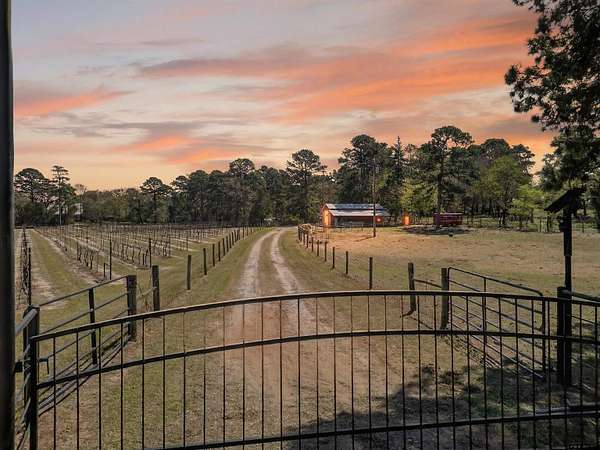 24.8 Acres of Agricultural Land with Home for Sale in Lindale, Texas