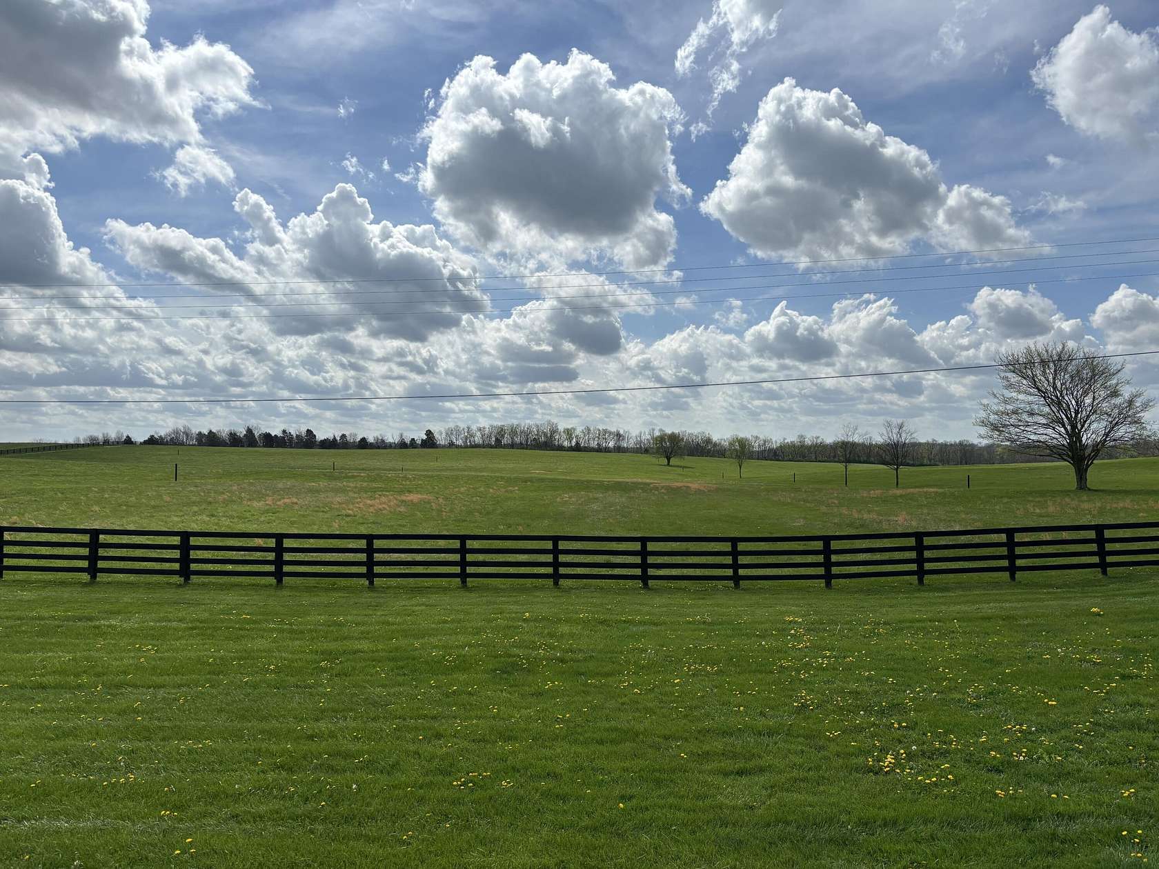 11.1 Acres of Land for Sale in Frankfort, Kentucky