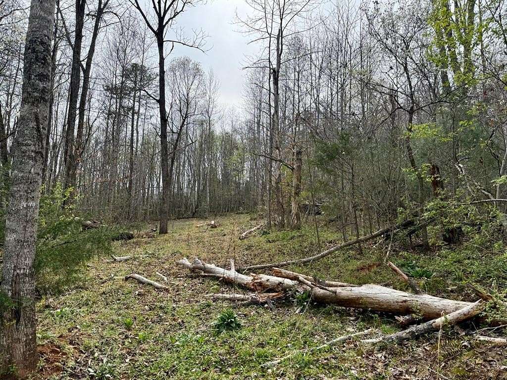 1.64 Acres of Residential Land for Sale in Franklin, North Carolina