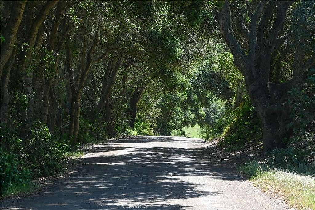 140 Acres of Agricultural Land for Sale in Harmony, California