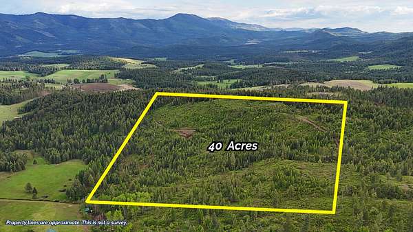 40.3 Acres of Land for Sale in Addy, Washington